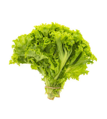 Lettuce