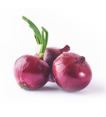 Onion